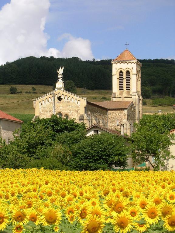Chambre D'Hotes Tardy Saint-Michel-sur-Savasse Luaran gambar